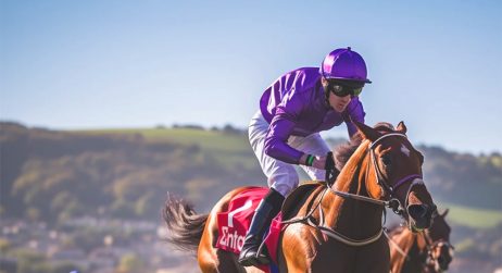 Entain Horse